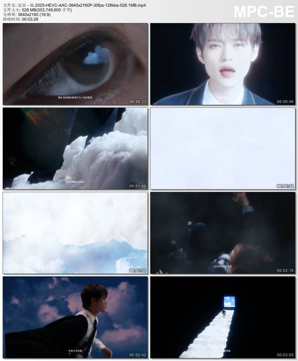 辰乐 - 灿.2025-HEVC-AAC-3840x2160P-30fps-128kbs-528.1MB官方MV_高清MV